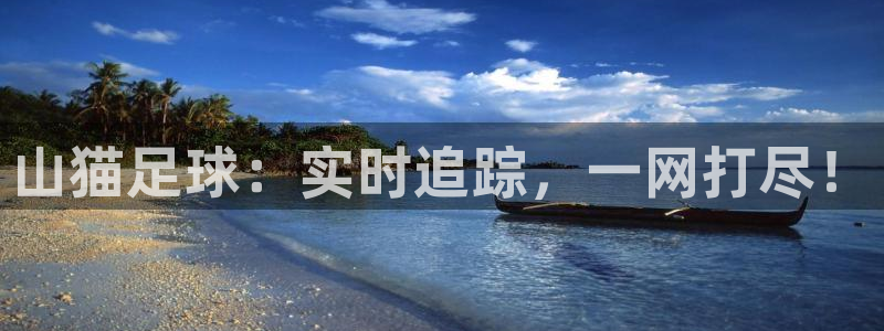 山猫足球：实时追踪，一网打尽！